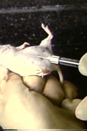 FDA Approved - The Slide Show