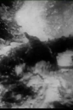 Why We Fight: The Nazis Strike