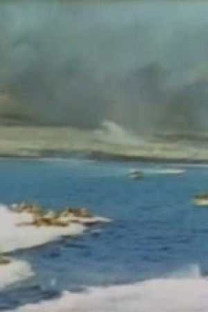 To the shores of Iwo Jima