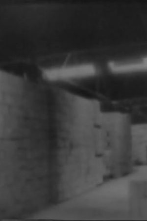 The Arsenal For D-Day, 1944/05/08