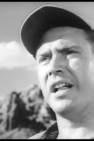 The Hitch-Hiker