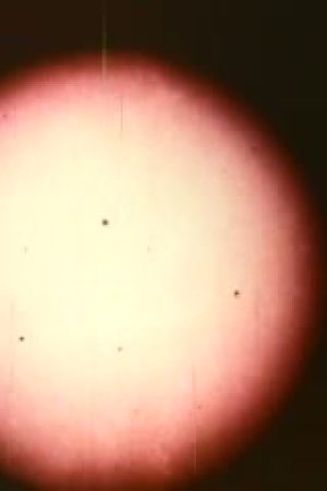 Our Mr. Sun