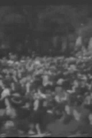 'American Day' Fete Biggest Patriotic Meeting In History, 1941/05/20