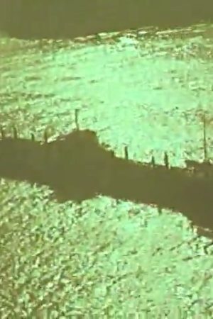 Miracle on the Delaware