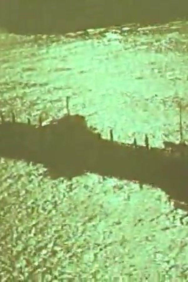 Miracle on the Delaware