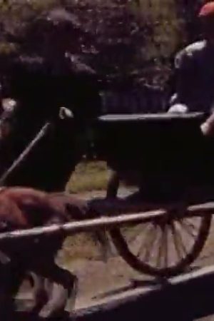 [Amateur film: Dog Cart]