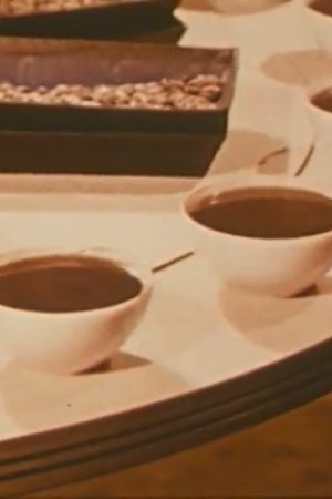 This is Coffee