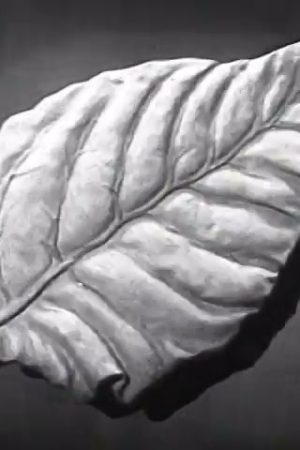 Lucky Strike Cigarette Commercial: Marching Cigarettes