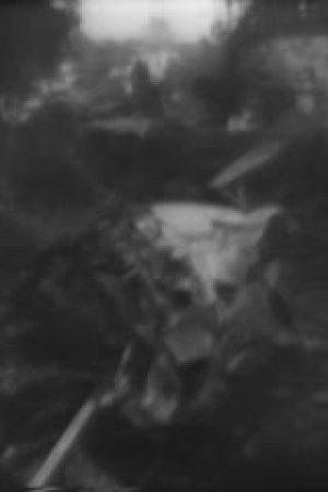 Hughes Plane Crash, 1946/07/11