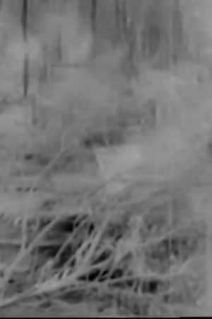 Landings On Okinawa, 1945/04/09
