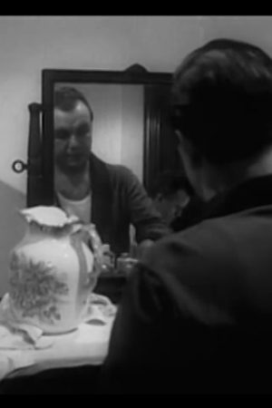The Saint Louis Bank Robbery