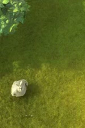 Big Buck Bunny