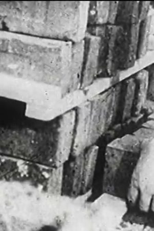 Original Films Of Frank B Gilbreth (Part I)