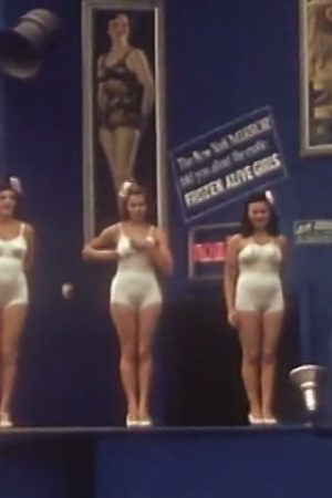 [Amateur film: Medicus collection: New York World's Fair, 1939-40] (Reel 2) (Part I)