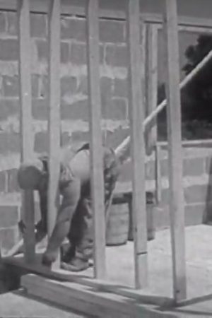 Woodworker, The