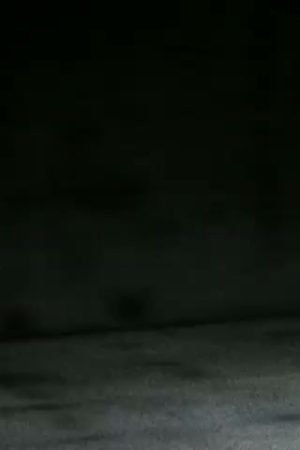 Home Movie: 98627: Hand Ball