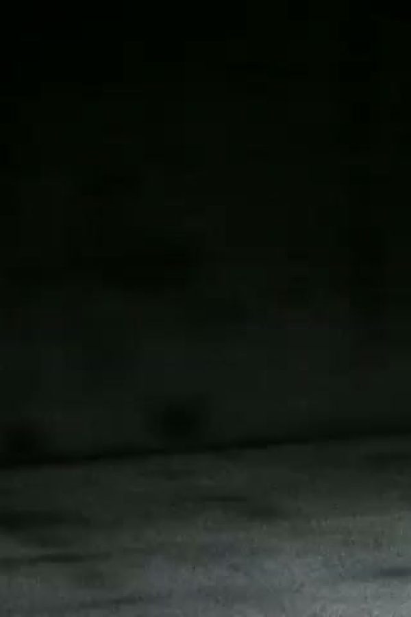 Home Movie: 98627: Hand Ball