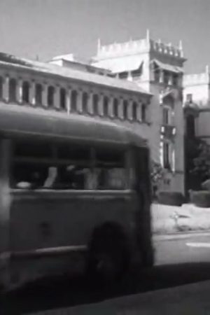 Report on Puerto Rico, U.S.A.