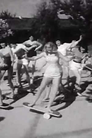 [Bongo Boards]