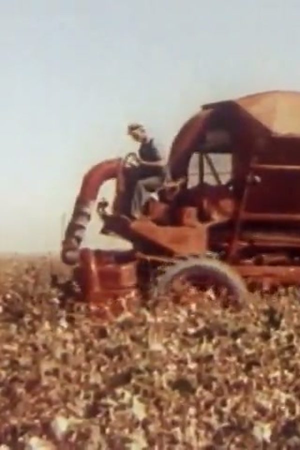 American Harvest (Part I)