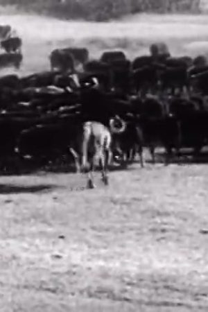 The Plow That Broke The Plains (Part I)