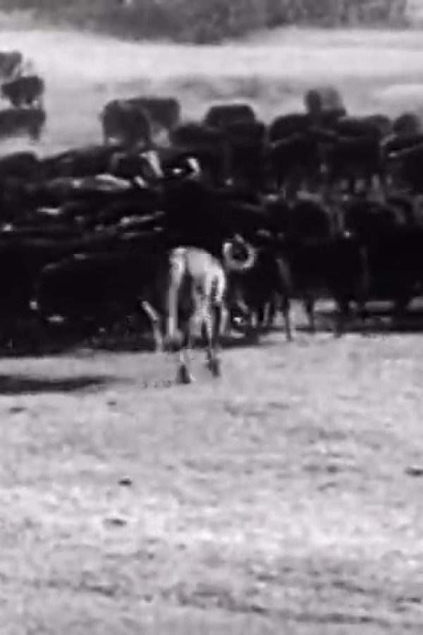 The Plow That Broke The Plains (Part I)