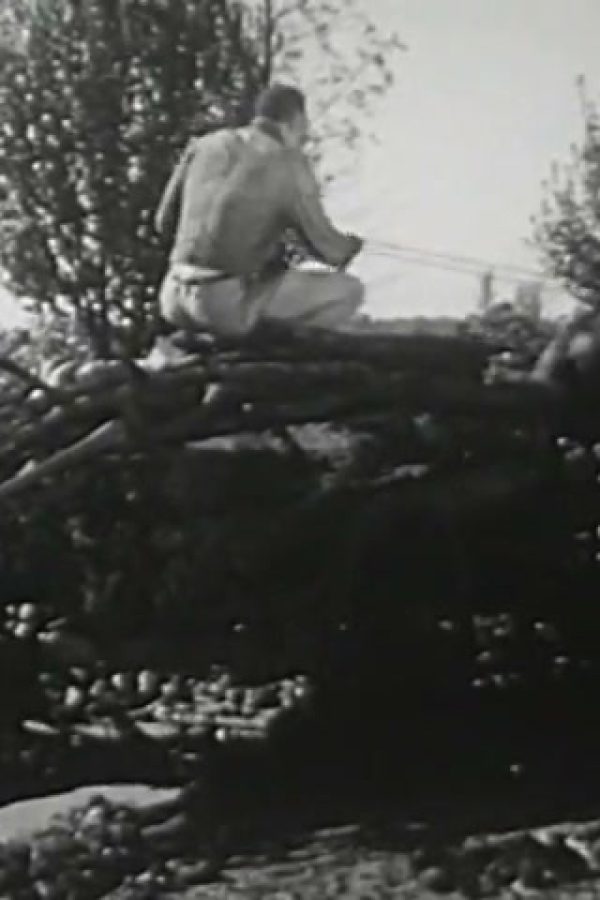 Plantation System in Southern Life, The