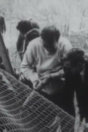 Columbia Revolt (Part I)
