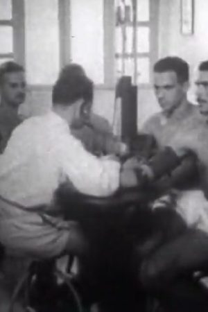 Brazil at War