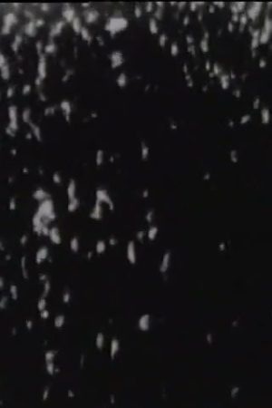 [Lindbergh's Flight and Return]