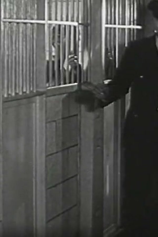 Boy in Court