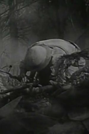 It's Everybody's War