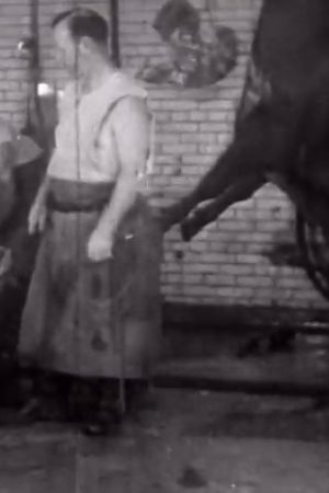Story of Selecting Kosher Meat Products for Their Stores, The