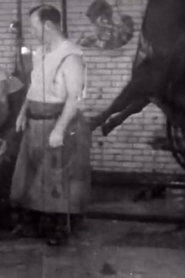 Story of Selecting Kosher Meat Products for Their Stores, The