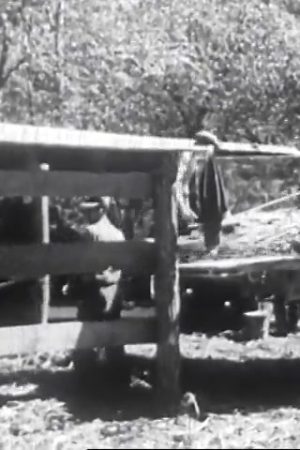 Poverty in Rural America