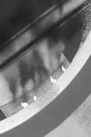 Facts on Friction