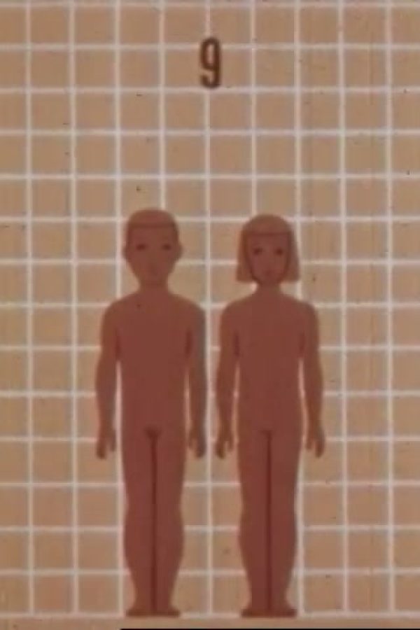 Human Growth