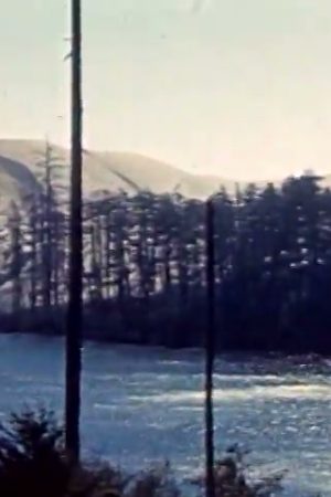 [Amateur film: "Frisco Fair / Pacific Northwest"]