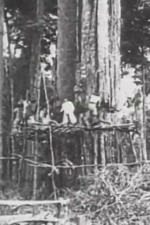 Island of Yesterday: Sumatra, Dutch West Indies, The