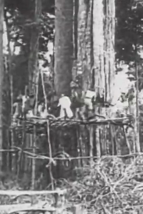 Island of Yesterday: Sumatra, Dutch West Indies, The