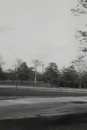 1964 New York World's Fair Report
