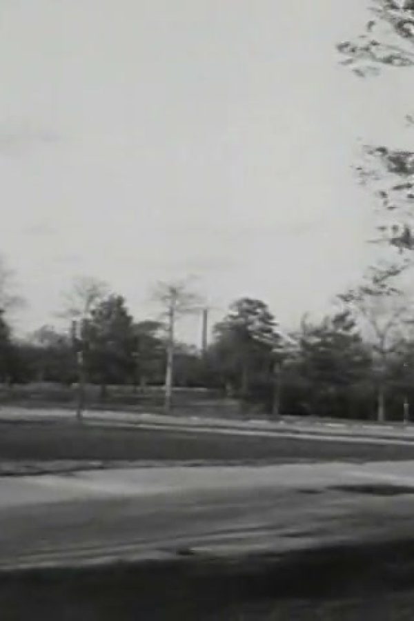 1964 New York World's Fair Report