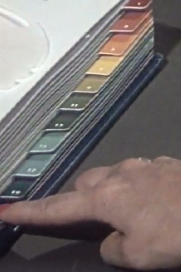 Color Harmony for Your Home