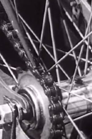 You and Your Bicycle