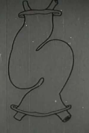 Heart, The
