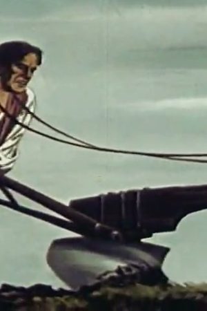 Freedom and Power (Part I)