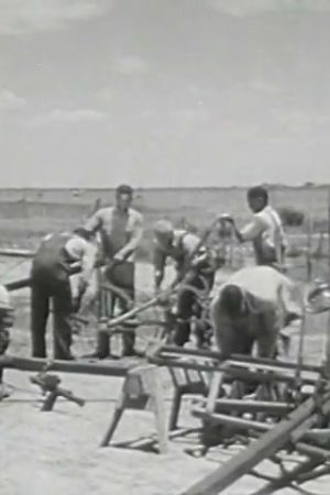 Negro Colleges in Wartime
