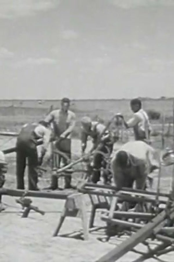 Negro Colleges in Wartime