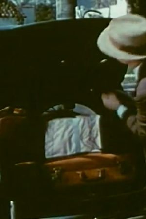 Trip, The