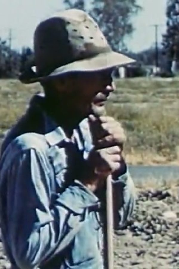 Life in the Central Valley of California